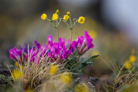 10 largest nature reserves of Russia (PHOTOS) - Russia Beyond