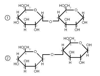 Cellobiose - Alchetron, The Free Social Encyclopedia