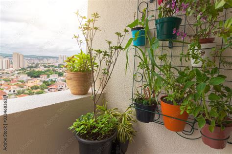 Vertical garden on the balcony of the building. Various types of plants ...