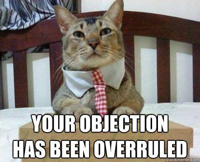 Your objection has been overruled Lawyer Cat #cat | Cat memes, Cats