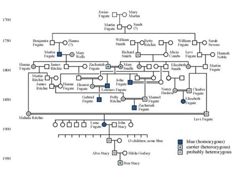 Exploring the Blue Fugates Family Tree: Tracing the Roots of a Unique Genetic Disorder