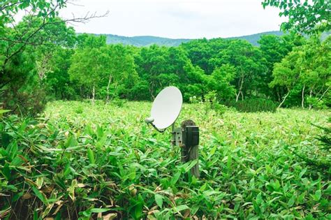 Premium Photo | Public satellite phone for emergency communication among bamboo thickets in the ...