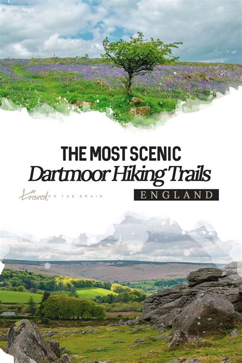 The Best Dartmoor Walks in Devon for All Hiking Levels | Dartmoor national park, Dartmoor walks ...