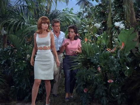 Gilligan's Island | Gilligan’s island, Ginger gilligans island, Ginger grant