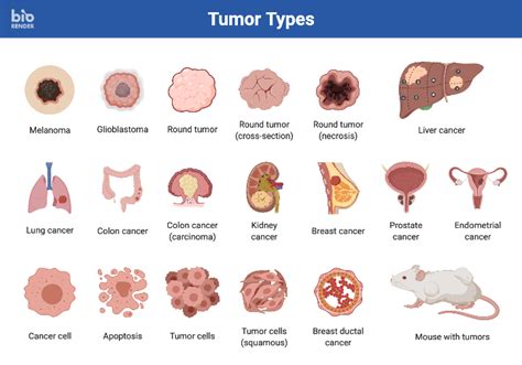 Icon Pack - Tumor Types | BioRender Science Templates