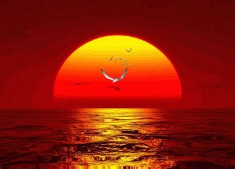 Animated Sunset | Total Awards : 30 | GRAPHICS MOVING GIFS 2 | Pinterest | Gifs