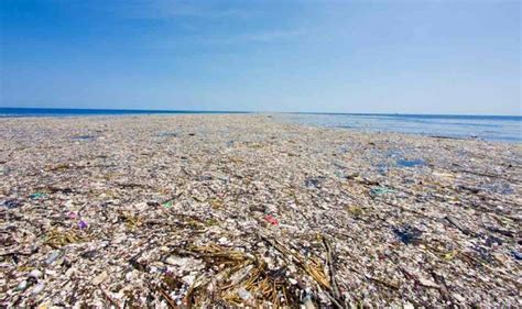 Des scientifiques ont découvert que le vortex de déchets du Pacifique ...