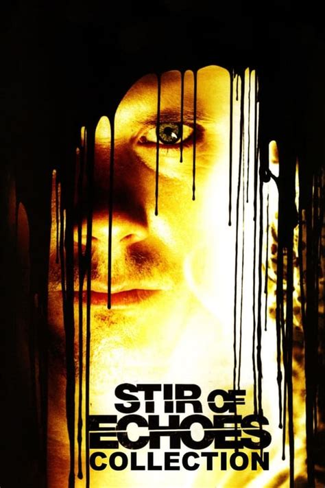 Stir of Echoes Collection — The Movie Database (TMDB)