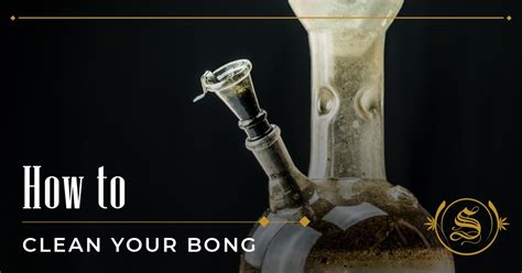 How To Clean Bong: A Step-by-Step Guide For Beginners - The Sanctuary