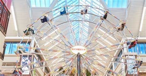 Things to Do at Chandler SCHEELS | SCHEELS.com