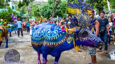 ll Carabao de Colores - Carabao Festival 2018 | Vallehermoso | Negros ...