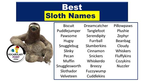 Best Sloth Names (Cute, Funny, Male & Female) - Vocabulary Point