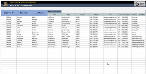 Job Application Form Template in Excel