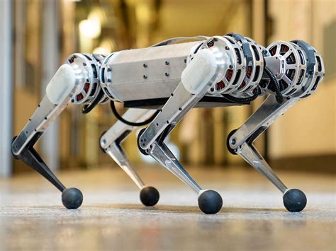 Those robotic dogs are cute! Testing 9 new Mini Cheetah Robots ...