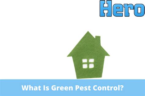 What Is Green Pest Control?