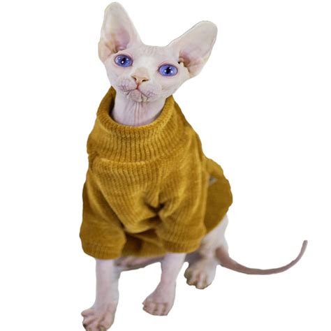 Hairless Cat Sweater | ubicaciondepersonas.cdmx.gob.mx