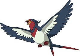 Swellow Pokémon: How to catch, Stats, Moves, Strength, Weakness, Trivia, FAQs