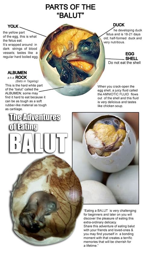 Z59 NEWS & STORIES: Parts of the BALUT