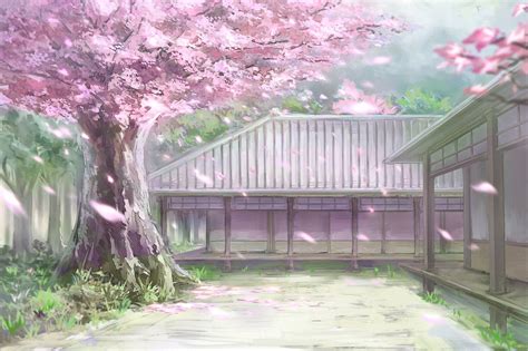 Touhou cherry blossoms c_z_ nobody petals scenic touhou tree ... | Phong cảnh, Hình ảnh, Nhiếp ...