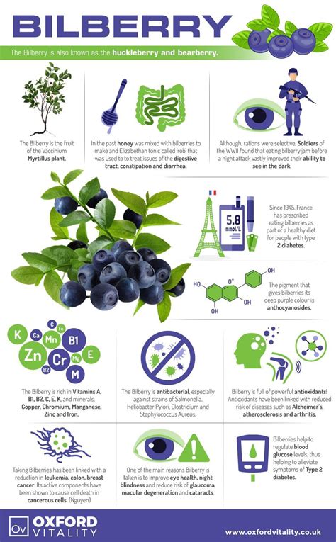 Bilberry, Bilberry Supplements , Bilberry Tablets, Bilberry History, Health Benefits of Bilberry ...