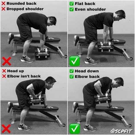 How to Do Dumbbell Rows Fitness Workouts, Gym Workout Videos, Back Workout, Workout Guide ...