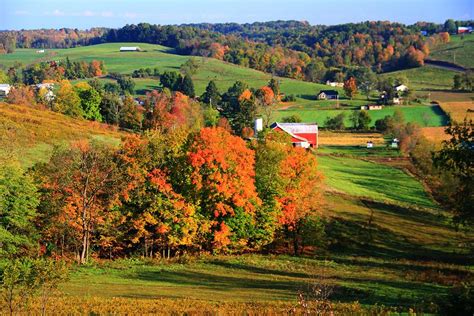 Fall Colors In Ohio Photograph by Dan Sproul