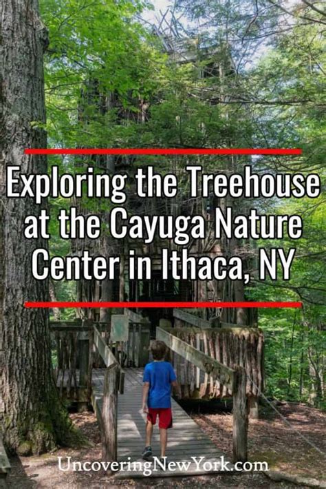 Hiking to the Six-Story Treehouse at the Cayuga Nature Center Near Ithaca - Uncovering New York