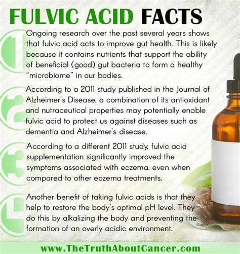 Discover Why Fulvic Acid is So Good for Your Gut, Brain & Skin