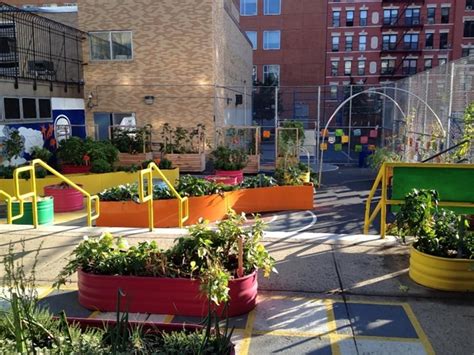 East Harlem Schools to Get Green Roof | School garden, Green roof ...