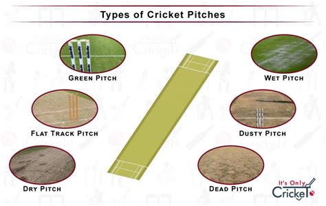 Different Types of Cricket Pitches and How to Read Them