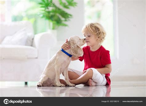 Child playing with dog. Kids play with puppy. Stock Photo by ©FamVeldman 302136210