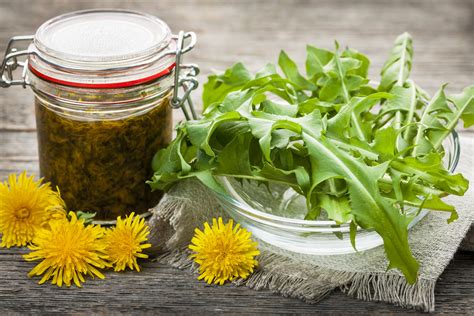 5 Dandelion Greens Recipes for Salad & More