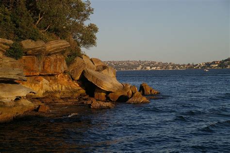 Cremorne Point Free Photo Download | FreeImages