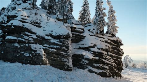 ArtStation - Destroyed Winter Forest | Resources