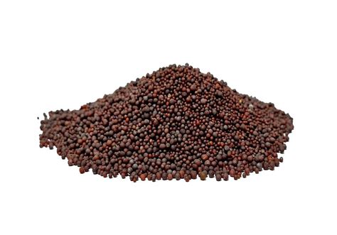 Grand Brown Mustard Seeds