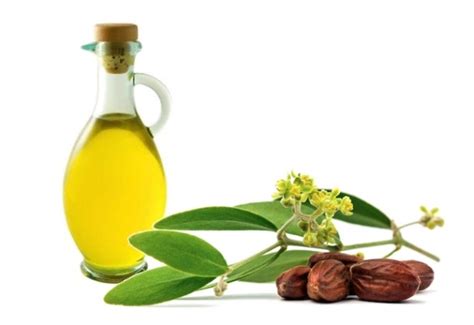 Jojoba Oil for Hair Growth