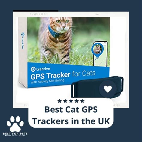 11 Best Cat GPS Trackers in the UK in 2023