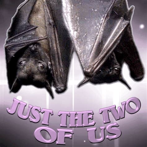 Just The Two Of Us Meme Bat Couple Meme GIF - Just The Two Of Us meme Bat couple meme Atra Bilis ...