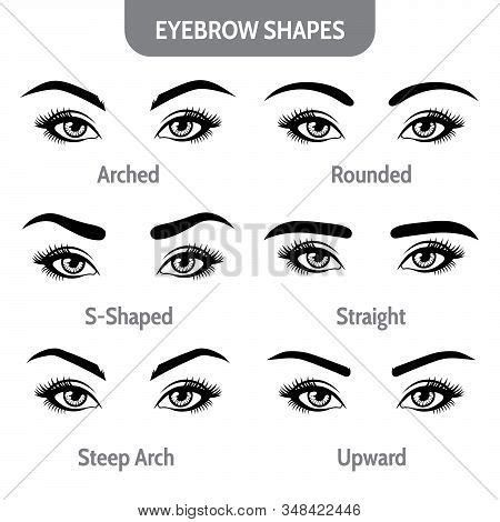 Eyebrow Shapes Eyes. Vector & Photo (Free Trial) | Bigstock