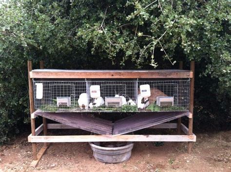 Waste collection idea... | Rabbit cages outdoor, Rabbit shed, Rabbit cages