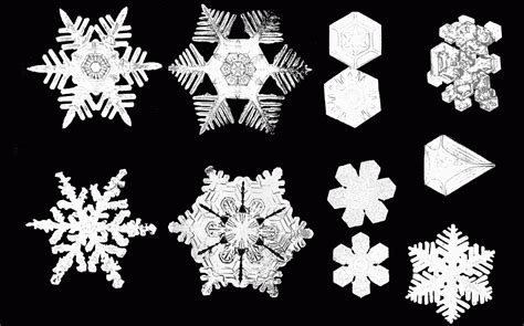 File:PSM V53 D092 Various snow crystal forms.png - Wikimedia Commons