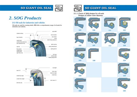 Oil Seals – SealsIndia