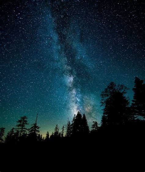 HD wallpaper: silhouette photo of trees during night time, silhouette of forest under milky way ...