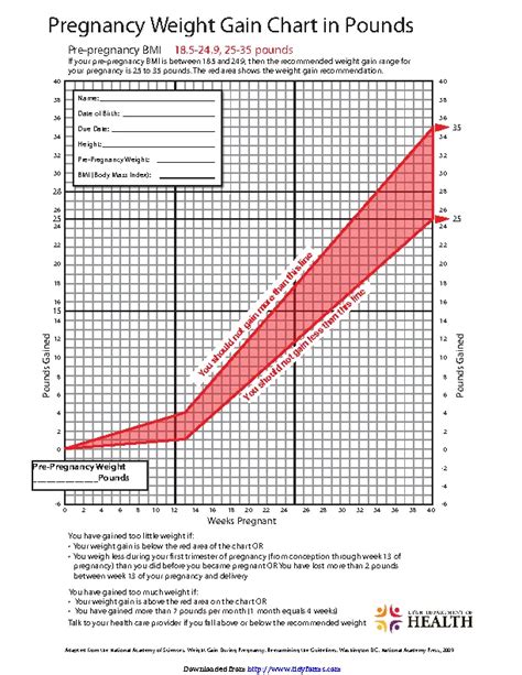 Pregnancy Weight Gain Chart PDF File/Printable | lupon.gov.ph