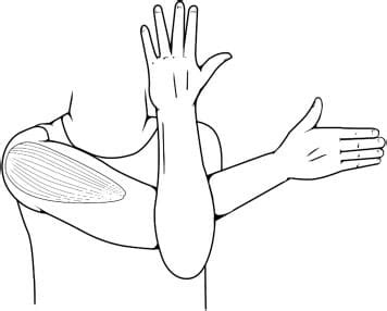 Shoulder Stretches: Only the Best - PhysioPrescription