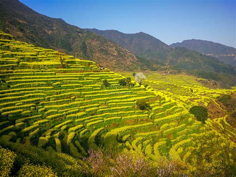 Wuyuan Scenic Spot In Jiangxi Province Picture And HD Photos | Free ...