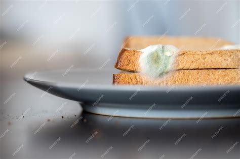 Premium Photo | Rotten food moldy toast slices on a plate