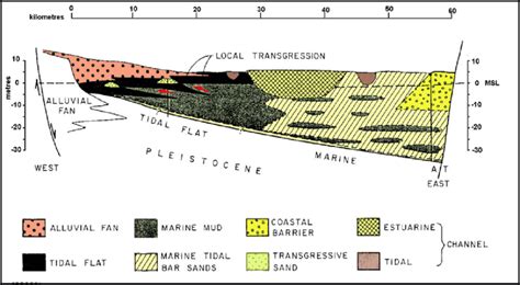 Schematic W-E stratigraphic cross section through the tidal estuary of ...