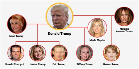 Donald Trump's family tree - Business Insider