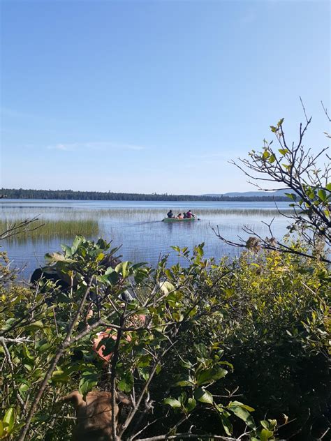 Group canoes on Miramichi Lake attempting to stall pesticide plan - New ...